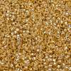 MIYUKI Round Rocailles Beads X-SEED-G009-RR0552-3