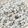 Baking Paint Glass Seed Beads SEED-F006-01A-09-3