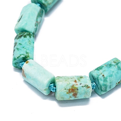Natural Peruvian Turquoise(Jasper) Beads Strands G-O170-138-1