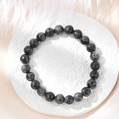 Natural Larvikite Beads Stretch Bracelets BJEW-F380-01-B14-1