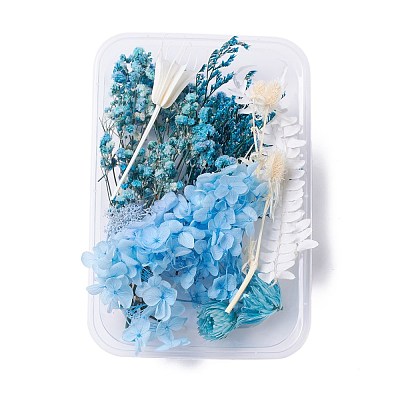 Dried Flowers DIY-D052-10-1