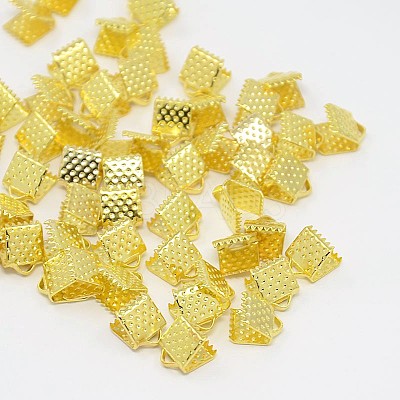 Iron Ribbon Crimp Ends E004Y-G-1