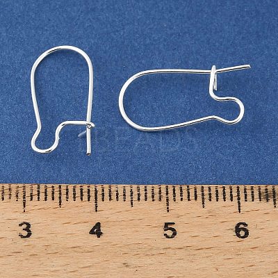 Brass Hoop Earring Findings KK-H258-16S-1