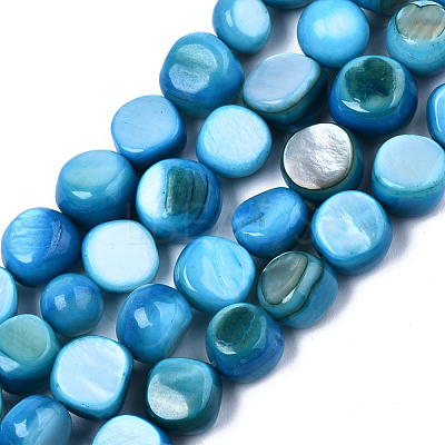 Natural Freshwater Shell Beads Strands SHEL-S276-110B-03-1