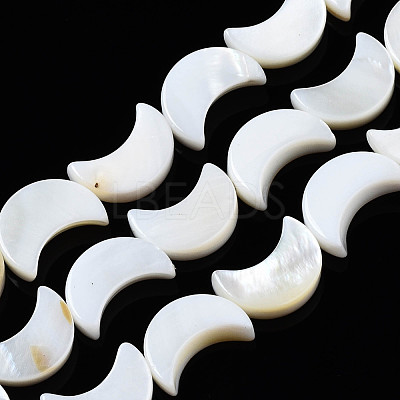 Natural Freshwater Shell Beads Strands SHEL-Q024-015B-1
