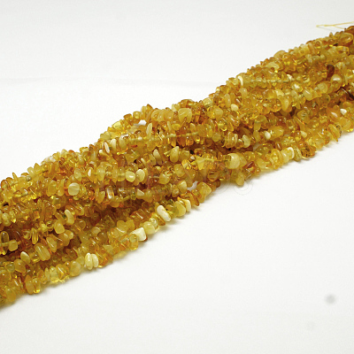 Natural Amber Chip Beads Strands G-E333-01A-1