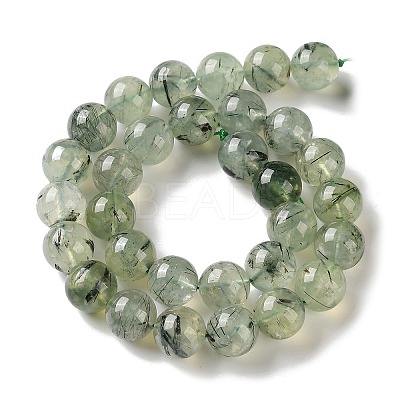 Natural Prehnite Beads Strands G-G474-A01-12mm-1