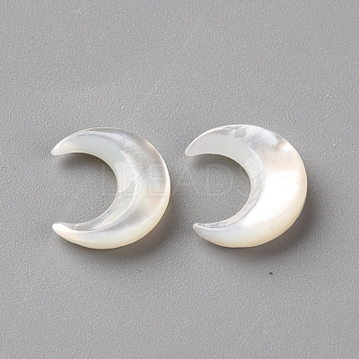 Natural White Shell Beads SSHEL-Q311-004A-01-1