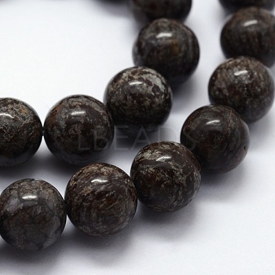 Natural Snowflake Obsidian Beads Strands G-I199-01-6mm-1