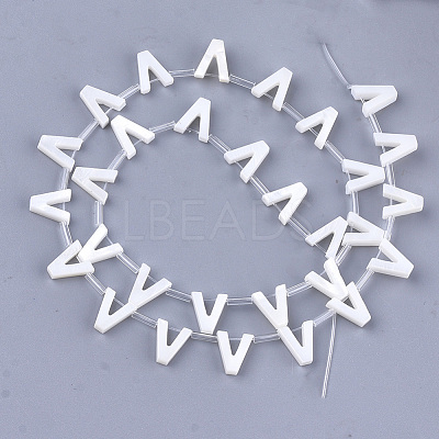 Freshwater Shell Beads X-SHEL-T012-59V-1