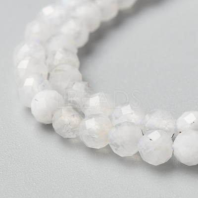 Natural Rainbow Moonstone Beads Strands X-G-O186-D02-01-1
