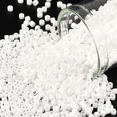 Cylinder Seed Beads X-SEED-H001-H24-1