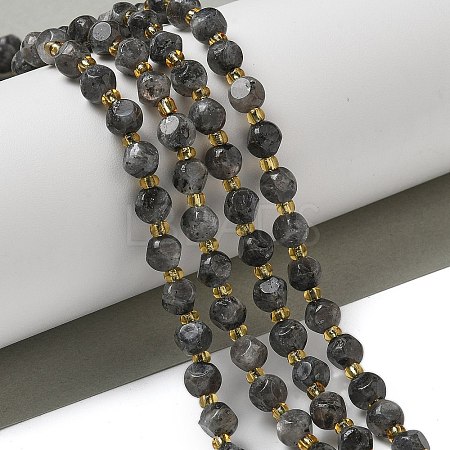 Natural Larvikite Beads Strands G-K387-A02-01-1
