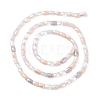 Gradient Color Electroplate Glass Bead Strands GLAA-E042-01E-2
