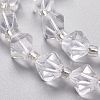 Natural Quartz Crystal Beads Strands G-Z014-10-3