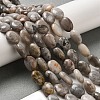 Natural Crazy Lace Agate Beads Strands G-G102-B01-01-2