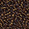 6/0 Glass Seed Beads SEED-US0003-4mm-53-2