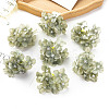 Cloth Flower Ornaments PW-WGFFD39-06-1
