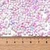 Baking Paint Glass Seed Beads SEED-F005-01A-05-4