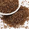Cylinder Seed Beads SEED-H001-G17-1