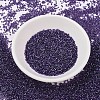MIYUKI Delica Beads SEED-X0054-DB1756-2
