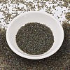 MIYUKI Delica Beads SEED-JP0008-DB1740-2