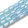 Electroplate Glass Beads Strands EGLA-D031-01-09-1