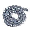 Opaque Solid Color Electroplate Glass Beads Strands EGLA-N013-P10mm-B05-2