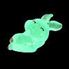 Luminous Resin Rabbit Ornament DJEW-R011-02D-4