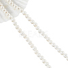 Natural White Shell Beads Strands SHEL-WH0001-009A-2