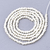 Natural Cultured Freshwater Pearl Beads Strands PEAR-T003-24-2