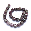 Natural Tourmaline Beads Strands G-O173-088A-2