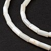 Natural Freshwater Shell Dyed Beads Strands SHEL-M018-11-12-4