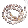 Natural Cultured Freshwater Pearl Beads Strands PEAR-S017-005-5