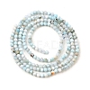 Natural Larimar Beads Strands G-G259-D13-2mm-3
