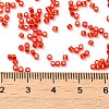 Glass Seed Beads X-SEED-S042-04B-10-4