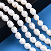 Natural Cultured Freshwater Pearl Beads Strands LS-PEAR-N012-07K-6