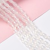 Natural White Agate Beads Strands G-C247-01A-2