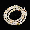 Natural Green Banded Calcite(Afghan Jade) Beads Strands G-N346-02A-12-4