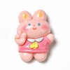 Cartoon Opaque Resin Cabochons LS-RESI-C030-02D-1