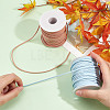2 Rolls 2 Colors Flat Faux Suede Cord OCOR-DC0001-05-3
