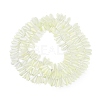 Electroplate Glass Beads Strands EGLA-C005-01A-FR02-2