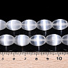 Dyed Natural Selenite Beads Strands G-T138-232A-4