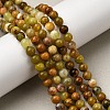 Natural Green Opal Beads Strands G-K245-A17-A02-01-5
