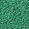 TOHO 11/0 Round Beads X-SEED-TR11-0561-2