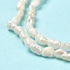 Natural Baroque Pearl Keshi Pearl Beads Strands PEAR-E016-142-4