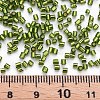 Glass Bugle Beads SEED-S032-08A-55A-4