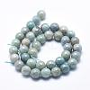 Natural Amazonite Beads Strands G-O164-02-10mm-3