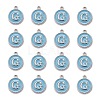 Platinum Plated Alloy Enamel Charms ENAM-S118-04G-P-2