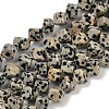Natural Dalmatian Jasper Beads Strands G-A257-A17-01-1